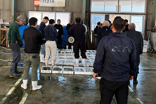 朝市見学(大神漁港)