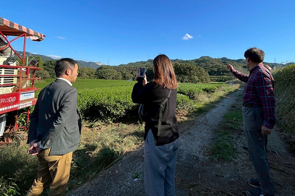 有機栽培のお茶畑視察(高橋製茶)